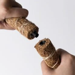 Bendable & Stackable Coco Coir Pole: Support For Climbing Plants -Eds Plant Shop bendable stackable coco coir pole support for climbing plants 579628