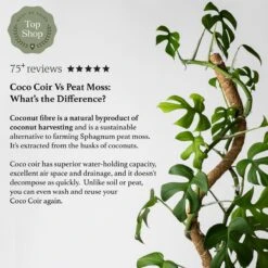 Bendable & Stackable Coco Coir Pole: Support For Climbing Plants -Eds Plant Shop bendable stackable coco coir pole support for climbing plants 749482