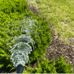 Bloom Juice - Blossom Boosting Fertilizer -Eds Plant Shop bloom juice blossom boosting fertilizer 335868