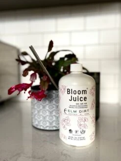 Bloom Juice - Blossom Boosting Fertilizer -Eds Plant Shop bloom juice blossom boosting fertilizer 573816