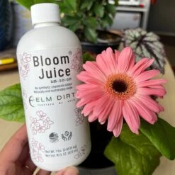 Bloom Juice - Blossom Boosting Fertilizer -Eds Plant Shop bloom juice blossom boosting fertilizer 723453