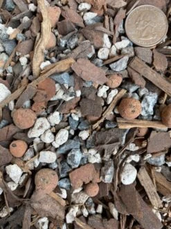 Bonsai Gritty Mix – Fast-Draining Traditional Soil Blend -Eds Plant Shop bonsai gritty mix fast draining traditional soil blend 748958