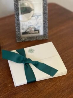 Boxed Celtic Knot Stationery - Irish Note Cards And Envelopes (10) -Eds Plant Shop boxed celtic knot stationery irish note cards and envelopes 10 469873