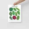 Calathea Species ID Chart - Botanical Houseplant Art Print 1 Calathea Species ID Chart - Botanical Houseplant Art Print -Eds Plant Shop calathea species id chart botanical houseplant art print 677029