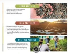 Calcined Clay – Premium Soil Amendment For Indoor Plants 19 Calcined Clay – Premium Soil Amendment For Indoor Plants -Eds Plant Shop calcined clay premium soil amendment for indoor plants 638169