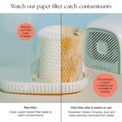 Canopy Large Room Humidifier: Hydrate Plants, Skin & Space -Eds Plant Shop canopy large room humidifier hydrate plants skin space 262971