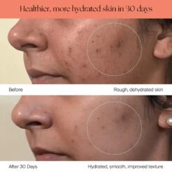 Canopy Large Room Humidifier: Hydrate Plants, Skin & Space -Eds Plant Shop canopy large room humidifier hydrate plants skin space 635644