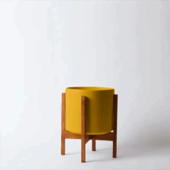 Ceramic Cylinder Planter By Solid Goods With Optional Mahogany Stand -Eds Plant Shop ceramic cylinder planter by solid goods with optional mahogany stand 1193708
