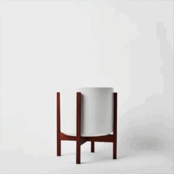 Ceramic Cylinder Planter By Solid Goods With Optional Mahogany Stand -Eds Plant Shop ceramic cylinder planter by solid goods with optional mahogany stand 2941195