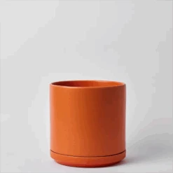 Ceramic Cylinder Planters With Saucer – Modern Indoor & Outdoor Pots In Multiple Sizes -Eds Plant Shop ceramic cylinder planters with saucer modern indoor outdoor pots in multiple sizes 1920852