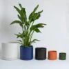 Ceramic Cylinder Planters With Saucer – Modern Indoor & Outdoor Pots In Multiple Sizes -Eds Plant Shop ceramic cylinder planters with saucer modern indoor outdoor pots in multiple sizes 3901365
