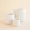 Charlie Planter | White -Eds Plant Shop charlie planter white 482028