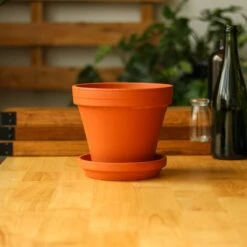 Classic Terracotta Planter Pot With Matching Water Saucer -Eds Plant Shop classic terracotta planter pot with matching water saucer 640965