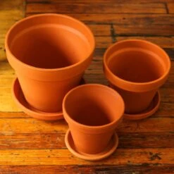 Classic Terracotta Planter Pot With Matching Water Saucer -Eds Plant Shop classic terracotta planter pot with matching water saucer 871762