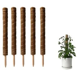 Coco Coir Plant Support Pole- Biodegradable Climbing Plant Stake (Small) -Eds Plant Shop coco coir plant support pole biodegradable climbing plant stake small 755015