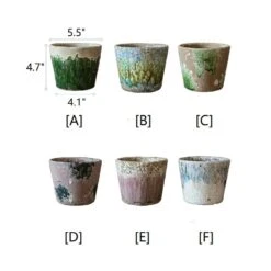 Colorful Terracotta Pot - Various Colors -Eds Plant Shop colorful terracotta pot various colors 858373