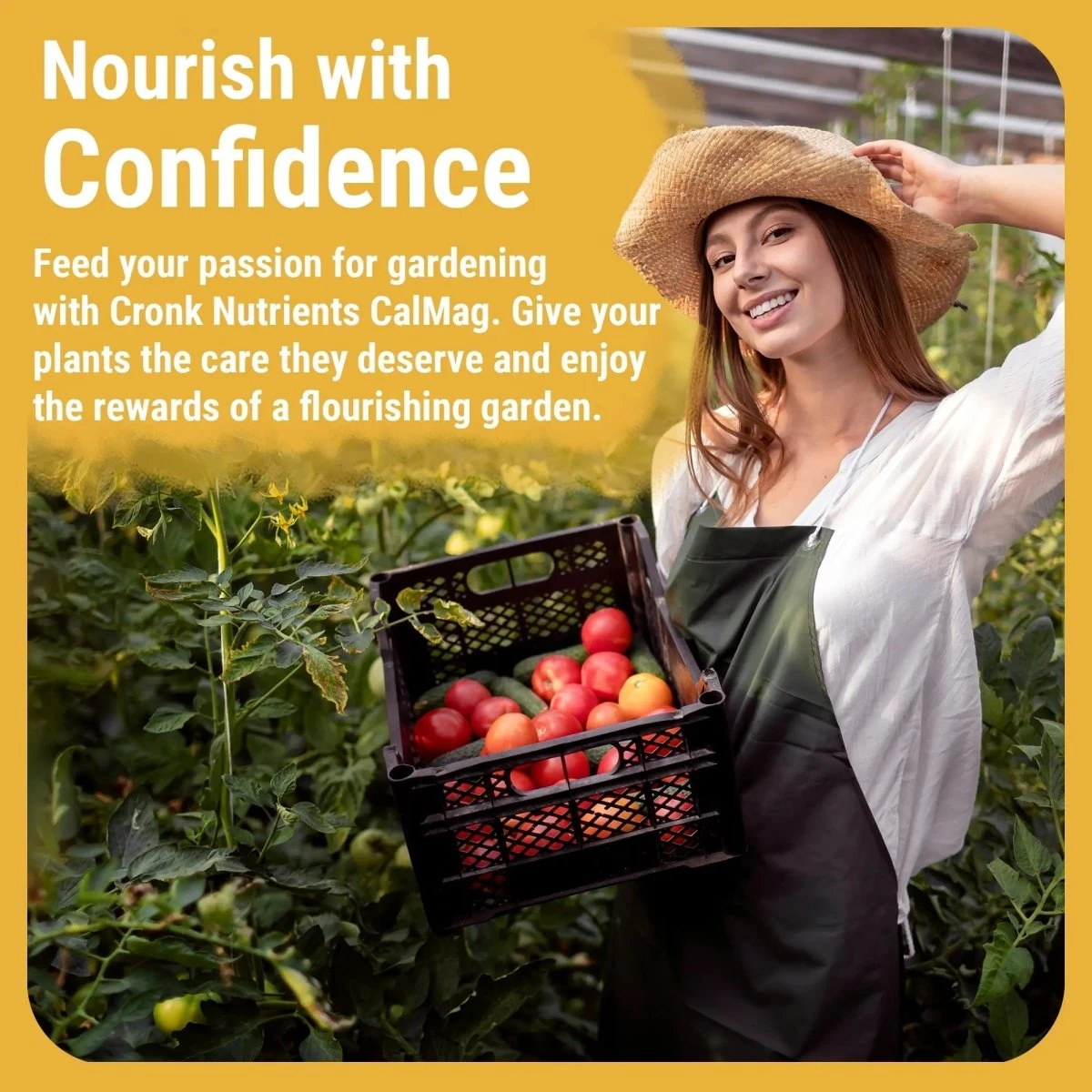 Cronk Nutrients CalMag 2-0-0 | Calcium, Magnesium & Iron Plant Supplement 6 Cronk Nutrients CalMag 2-0-0 | Calcium, Magnesium & Iron Plant Supplement - Image 4