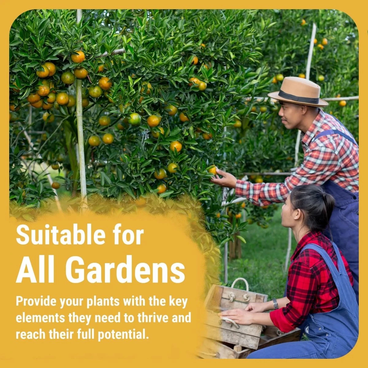 Cronk Nutrients CalMag 2-0-0 | Calcium, Magnesium & Iron Plant Supplement 7 Cronk Nutrients CalMag 2-0-0 | Calcium, Magnesium & Iron Plant Supplement - Image 5