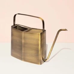 Deco Modern Watering Can 3 Liter | Handcrafted Stainless Steel Watering Can -Eds Plant Shop deco modern watering can 3 liter online only handcrafted stainless steel watering can 396879