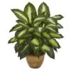 Dieffenbachia Artificial Plant In Ceramic Planter -Eds Plant Shop dieffenbachia artificial plant in ceramic planter 512718