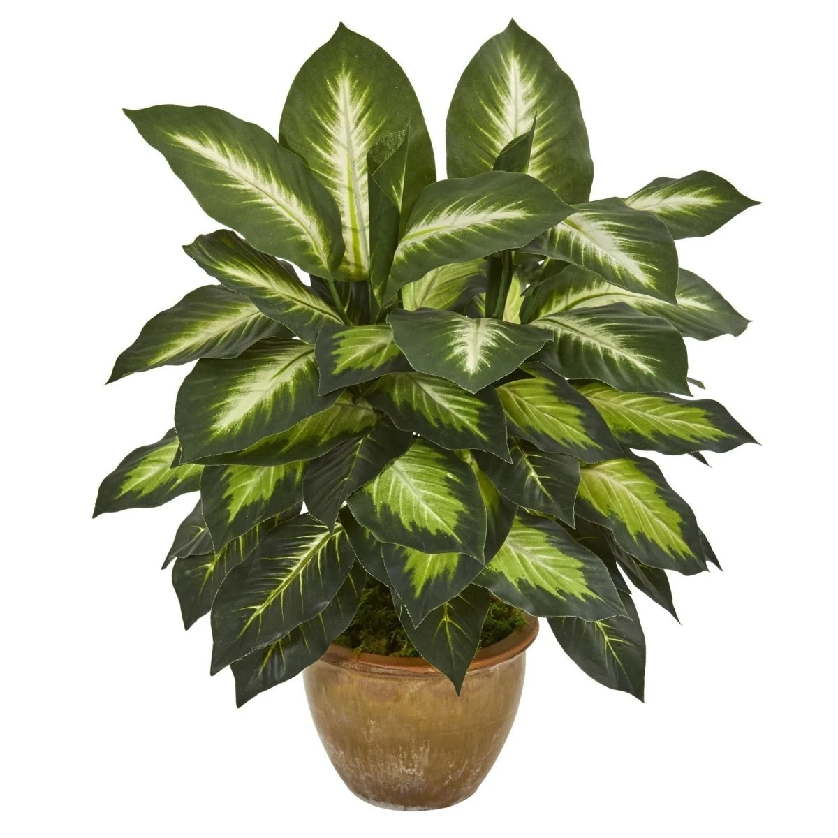 Dieffenbachia Artificial Plant In Ceramic Planter 3 Dieffenbachia Artificial Plant In Ceramic Planter