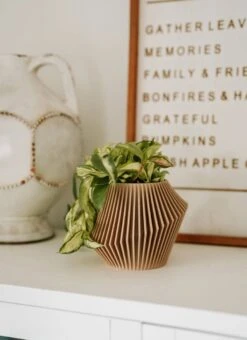 Disc Indoor Modern Style Planter - Various Sizes And Colors -Eds Plant Shop disc indoor modern style planter various sizes and colors 198701