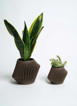 Disc Indoor Modern Style Planter - Various Sizes And Colors -Eds Plant Shop disc indoor modern style planter various sizes and colors 456251
