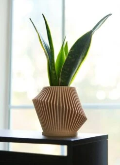 Disc Indoor Modern Style Planter - Various Sizes And Colors -Eds Plant Shop disc indoor modern style planter various sizes and colors 552109