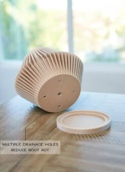 Disc Indoor Modern Style Planter - Various Sizes And Colors -Eds Plant Shop disc indoor modern style planter various sizes and colors 764065