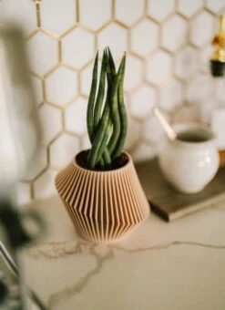 Disc Indoor Modern Style Planter - Various Sizes And Colors -Eds Plant Shop disc indoor modern style planter various sizes and colors 807629