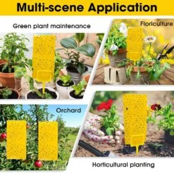 Double Sided Sticky Traps - Gnat Killer For Plants- 10 Pack -Eds Plant Shop double sided sticky traps gnat killer for plants 5 pack 972010