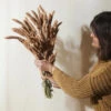 Dried Flower Bundle: Coral Setarea -Eds Plant Shop dried flower bundle coral setarea 784965