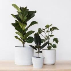 Eco-Friendly White Stone Planter Pot 4.75 Inch -Eds Plant Shop eco friendly white stone planter pot 475 inch 888974