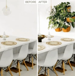 Eco Wall Planter By WallyGrow – Easy Vertical Garden For Indoors (Mustard) -Eds Plant Shop eco wall planter by wallygrow easy vertical garden for indoors mustard 239236