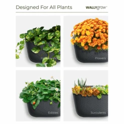 Eco Wall Planter By WallyGrow – Easy Vertical Garden For Indoors (Mustard) -Eds Plant Shop eco wall planter by wallygrow easy vertical garden for indoors mustard 360170