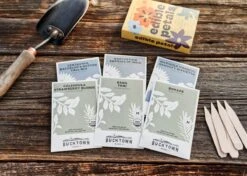 Edible Petals - Seed Collection -Eds Plant Shop edible petals seed collection 2640719