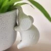 Elephant Ceramic Planter Hanger -Eds Plant Shop elephant ceramic planter hanger 822251