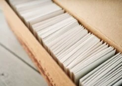 Emergency Seed Bank - Large - Organic Heirloom -Eds Plant Shop emergency seed bank large organic heirloom 3164618