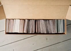 Emergency Seed Bank - Large - Organic Heirloom -Eds Plant Shop emergency seed bank large organic heirloom 5898084