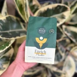 Enrich Powder - Houseplant Fertilizer By We The Wild (14 Oz) 10 Enrich Powder - Houseplant Fertilizer By We The Wild (14 Oz) -Eds Plant Shop enrich powder houseplant fertilizer by we the wild 14 oz 821377