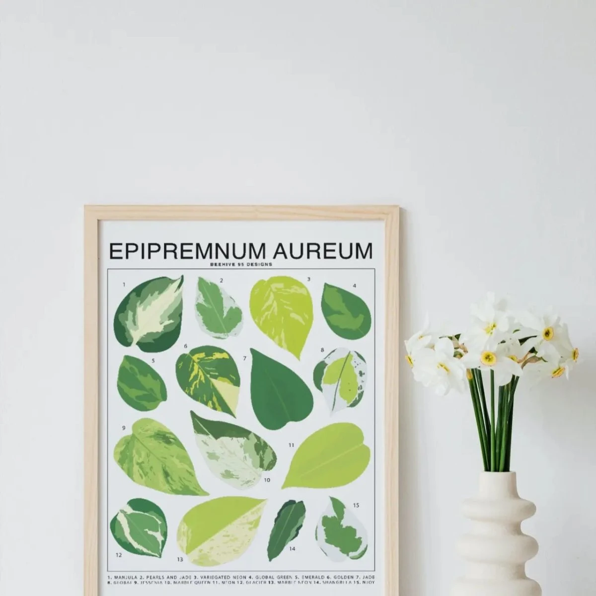 Epipremnum Aureum (Pothos) ID Chart Houseplant Art Print 4 Epipremnum Aureum (Pothos) ID Chart Houseplant Art Print - Image 2