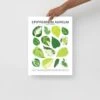 Epipremnum Aureum (Pothos) ID Chart Houseplant Art Print -Eds Plant Shop epipremnum aureum pothos id chart houseplant art print 721221