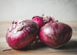 Family Pizza Night - Seed Collection -Eds Plant Shop family pizza night seed collection 2313610