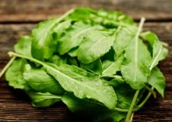 Family Pizza Night - Seed Collection -Eds Plant Shop family pizza night seed collection 8406705