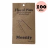 Floral Greening Pins (100-Pack) – Stainless Steel Pins For Moss Poles & Wreaths -Eds Plant Shop floral greening pins 100 pack stainless steel pins for moss poles wreaths 5644229