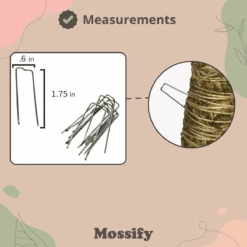 Floral Greening Pins (100-Pack) – Stainless Steel Pins For Moss Poles & Wreaths -Eds Plant Shop floral greening pins 100 pack stainless steel pins for moss poles wreaths 7373782