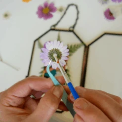 Framed Pressed Flowers Kit -Eds Plant Shop framed pressed flowers kit 152764