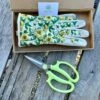 Garden Gift Box - Gloves And Garden Snips