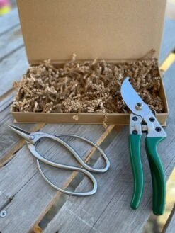 Garden Gift Box - Pruners And Snips -Eds Plant Shop garden gift box pruners and snips 217026