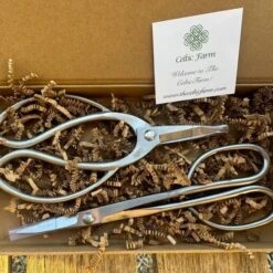 Garden Gift Box - Stainless Garden Scissor Set -Eds Plant Shop garden gift box stainless garden scissor set 920159